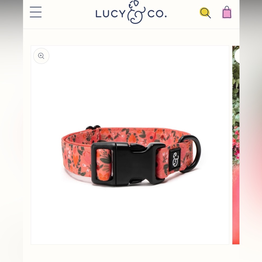 Lucy & Co Print Dog Collar